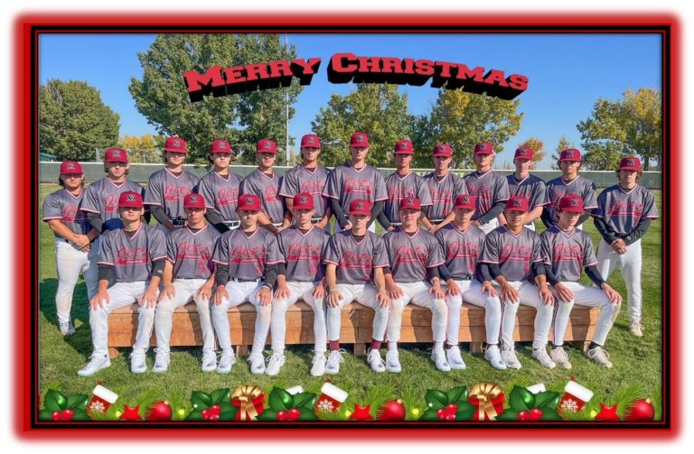 Vauxhall Academy of Baseball to the Jets Official site